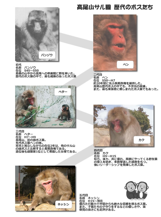 歴代のボス猿 高尾山さる園 野草園