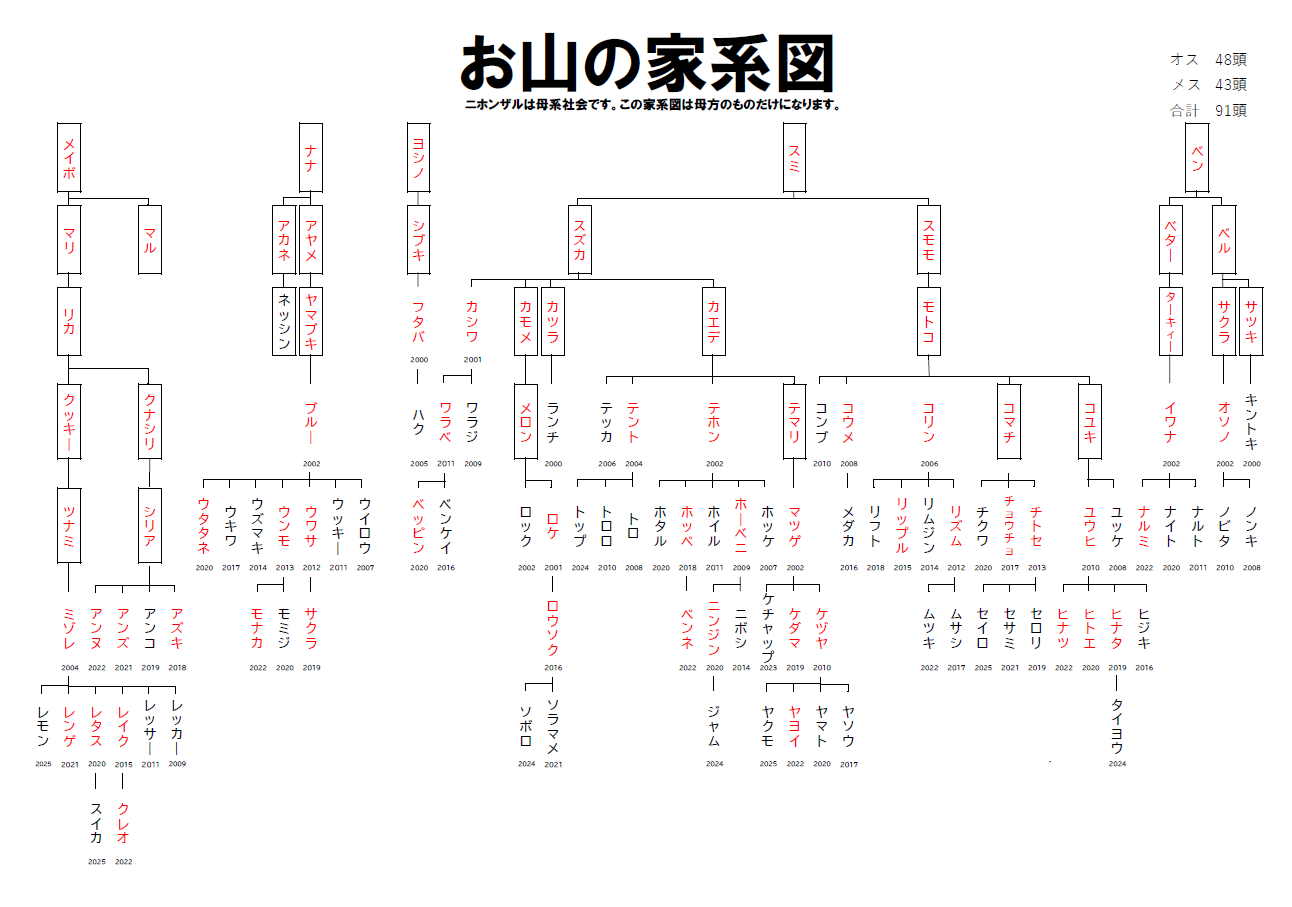 さる園の家系図画像