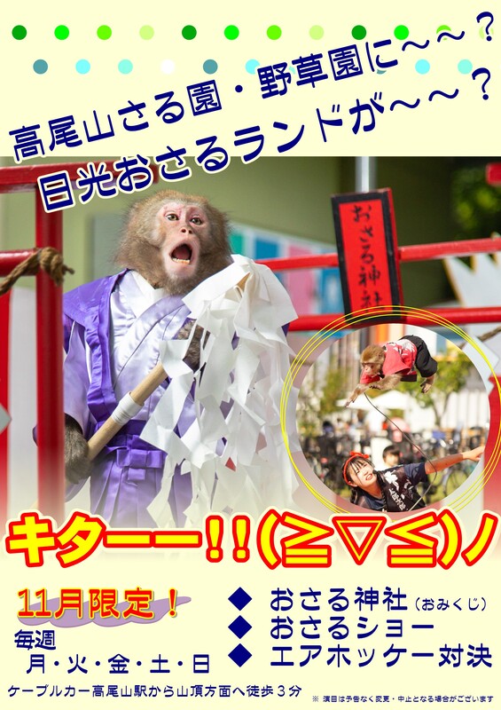 11月 日光おさるランドが高尾山にやってきます！！