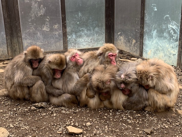 3月営業時間のお知らせ